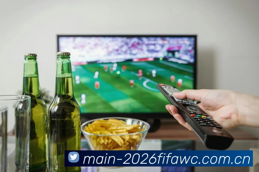 FIFA 官方数据授权认证